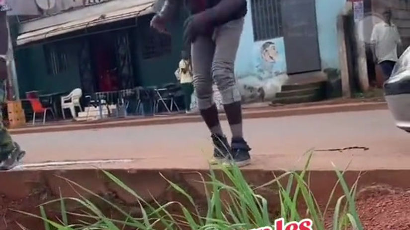 Le Seigneur des nerfs a voler le chat et ca a cuit